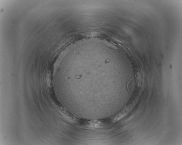 X0000071860612200607141817