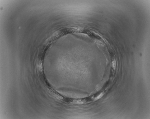 X0000071860613200607141817