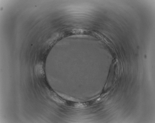 X0000071860616200607141817