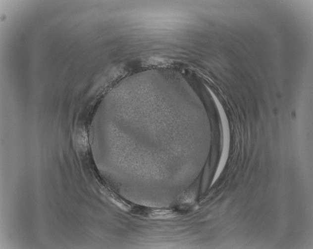 X0000071860617200607141817