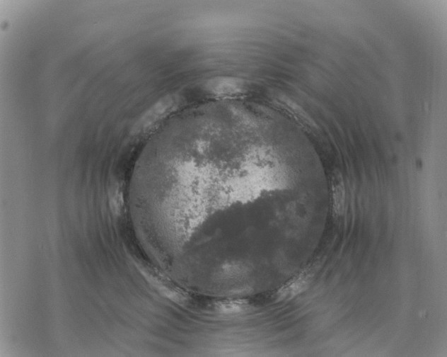 X0000071860618200607141817