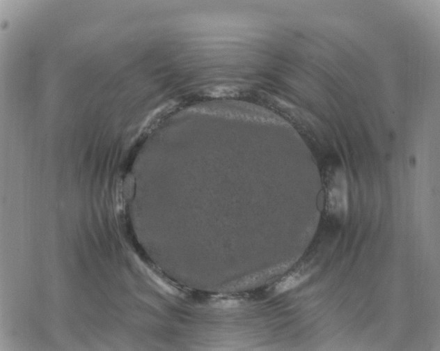 X0000071860620200607141817