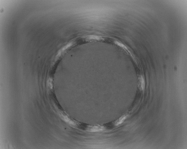 X0000071860621200607141817