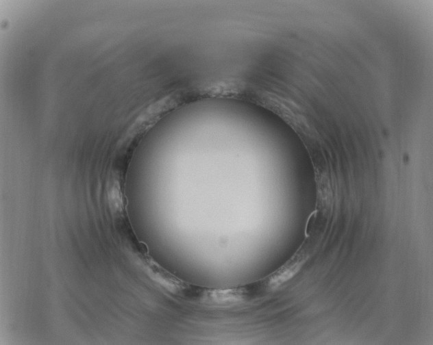 X0000071860622200607141817