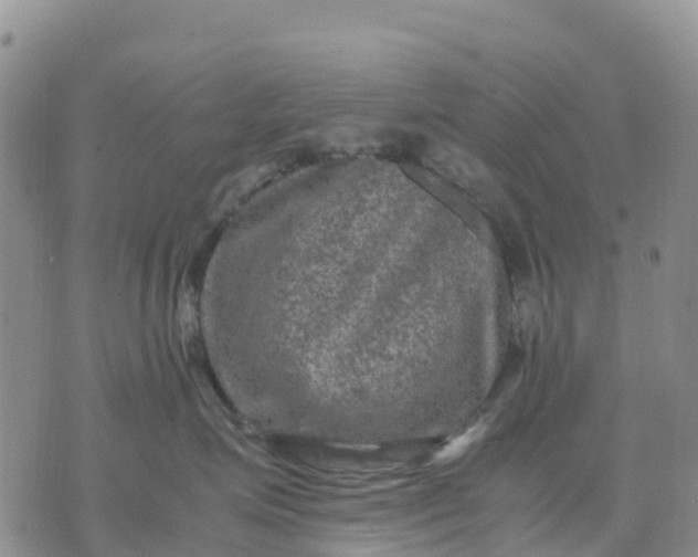 X0000071860623200607141817