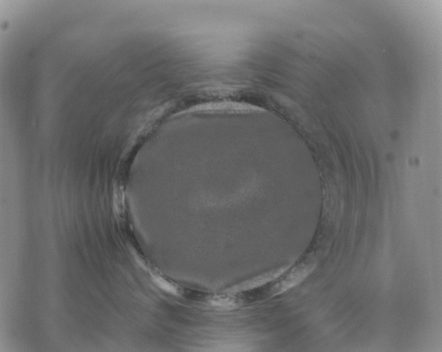 X0000071860624200607141817