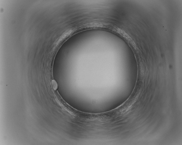 X0000071860625200607141816