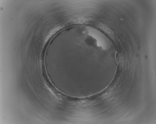 X0000071860626200607141816