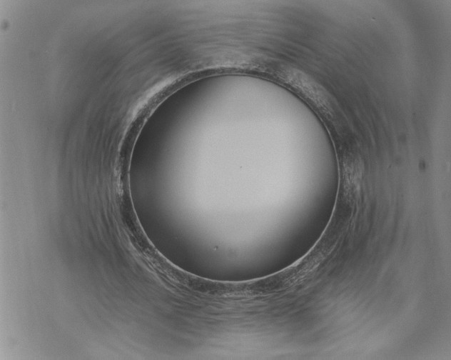 X0000071860628200607141816