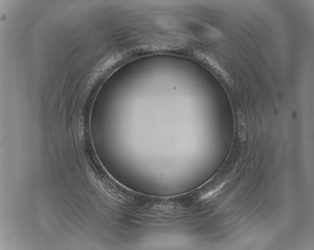 X0000071860631200607141816