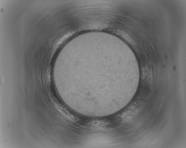 X0000071860632200607141816