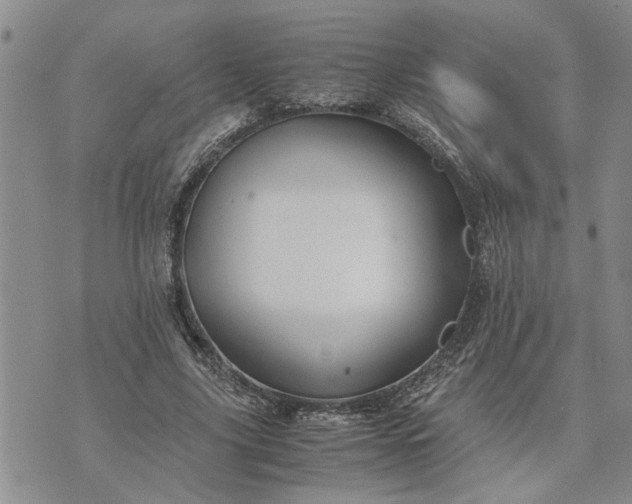 X0000071860635200607141816