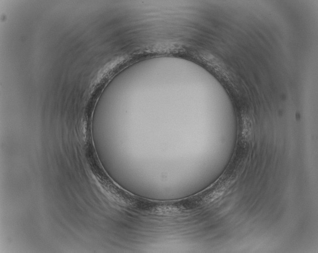 X0000071860636200607141816