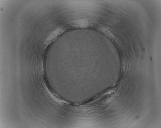 X0000071860638200607141816