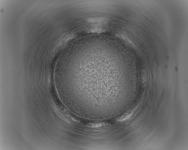 X0000071860639200607141816