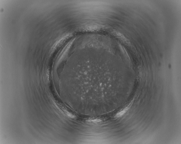 X0000071860640200607141816