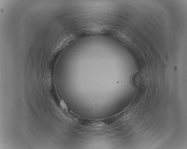 X0000071860642200607141816