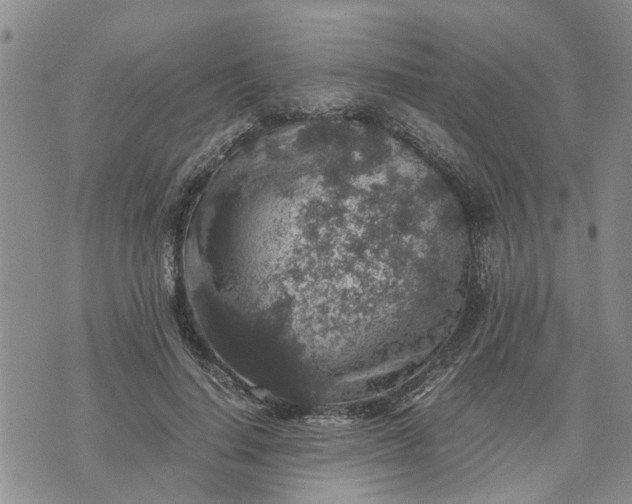 X0000071860644200607141816