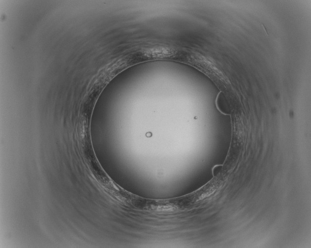 X0000071860645200607141816