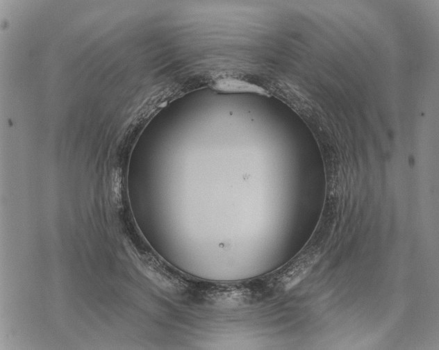 X0000071860646200607141816