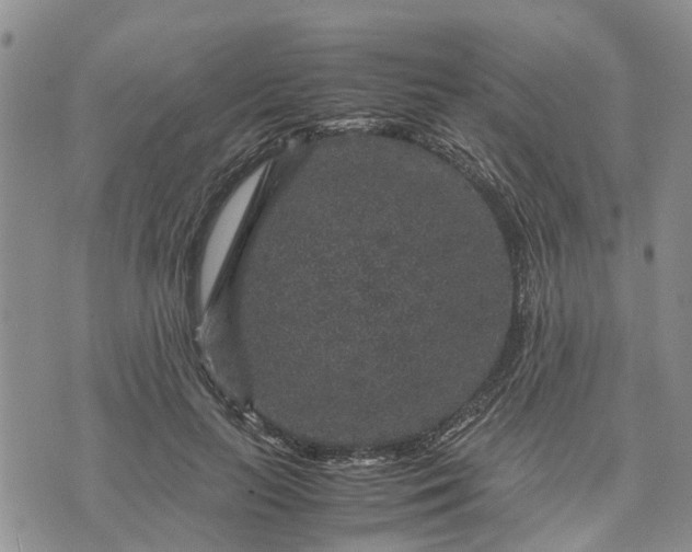 X0000071860647200607141816