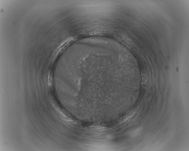 X0000071860648200607141816