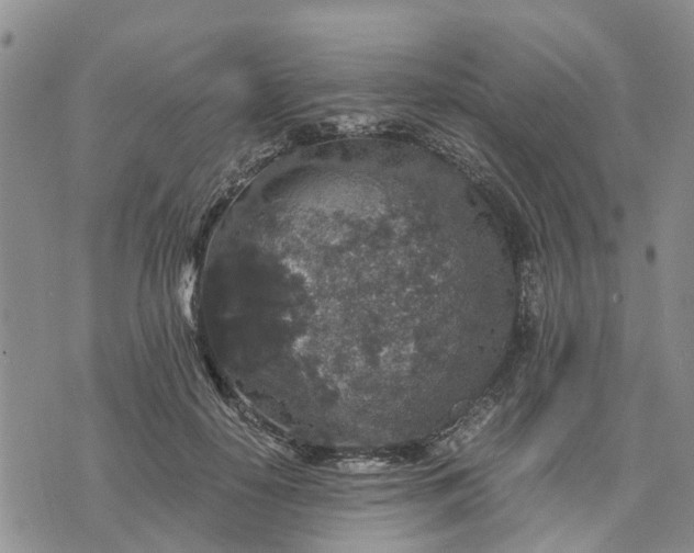 X0000071860650200607141816