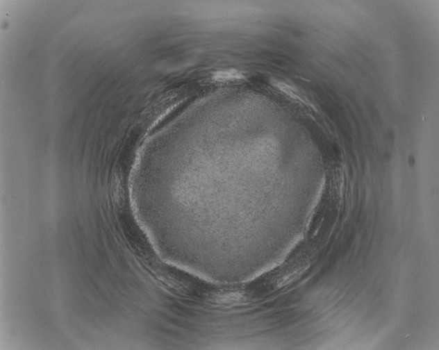 X0000071860651200607141816