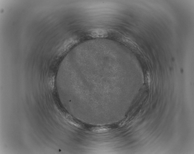 X0000071860652200607141816