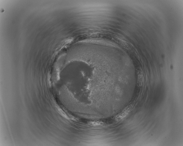 X0000071860654200607141816