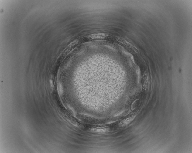 X0000071860655200607141816