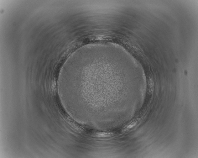 X0000071860657200607141816