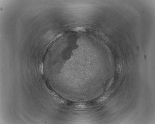 X0000071860658200607141816