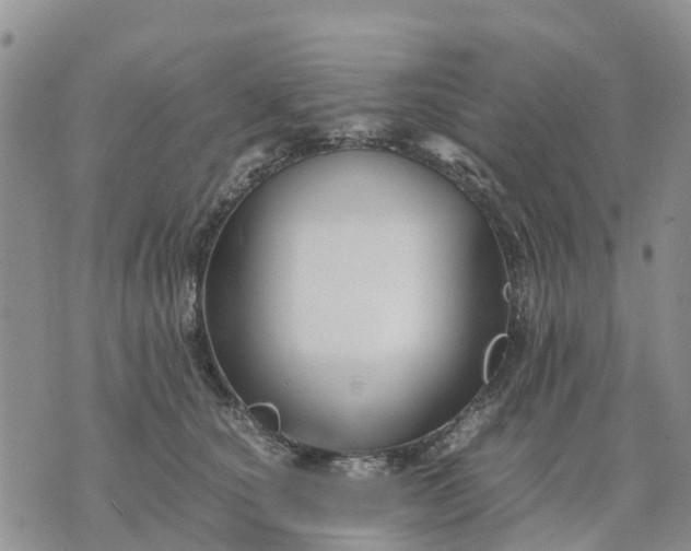 X0000071860660200607141816