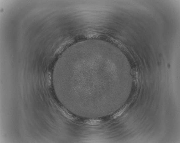 X0000071860664200607141816