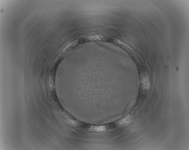 X0000071860665200607141816