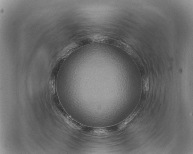 X0000071860666200607141816