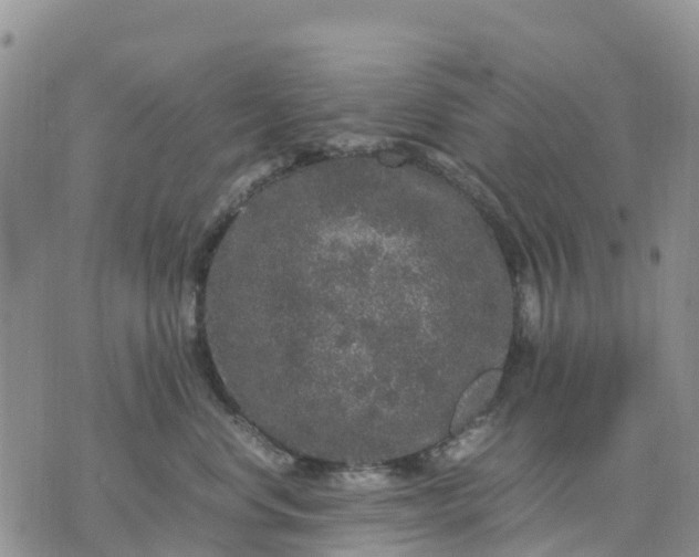 X0000071860668200607141816