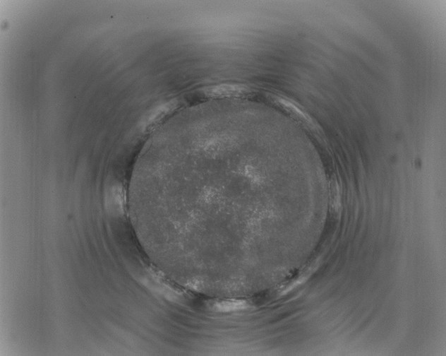 X0000071860669200607141816