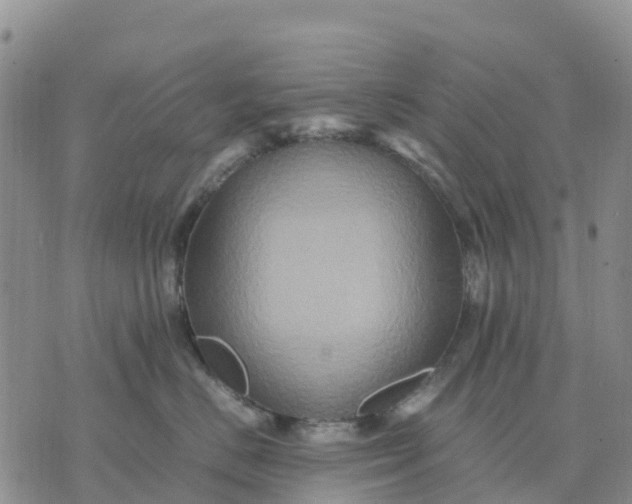 X0000071860670200607141816