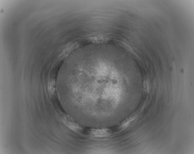 X0000071860671200607141816