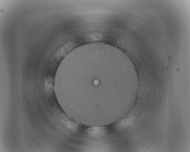 X0000071860672200607141816