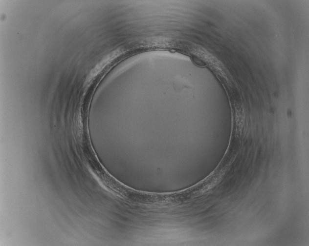 X0000071860674200607141816