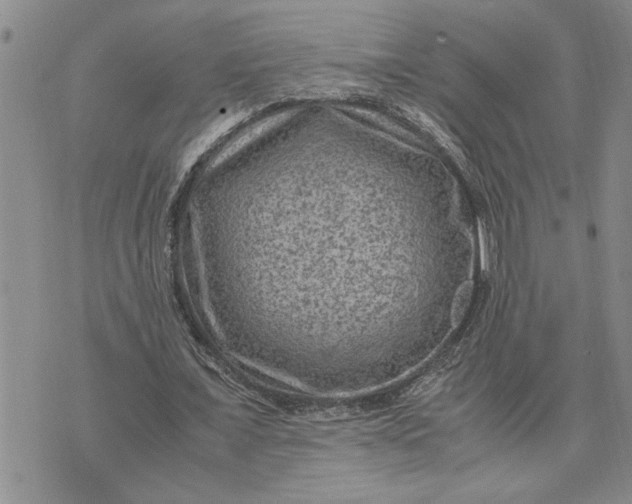 X0000071860675200607141816