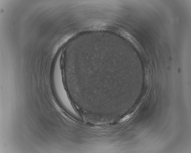 X0000071860677200607141816