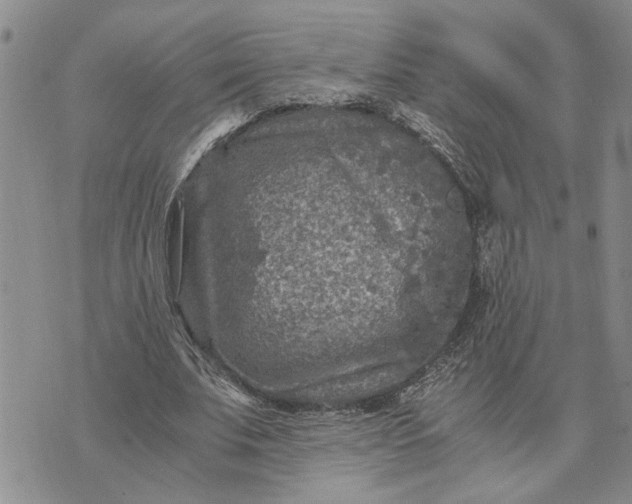 X0000071860679200607141816