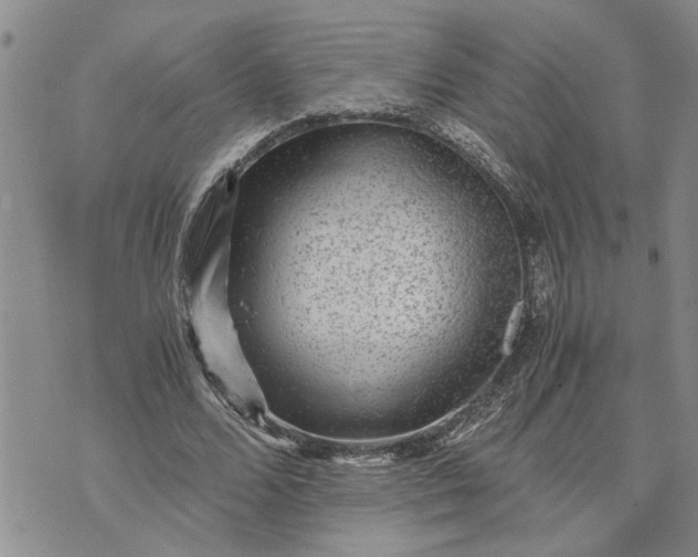 X0000071860680200607141816