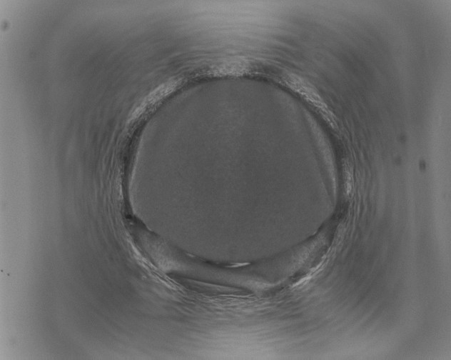 X0000071860681200607141816