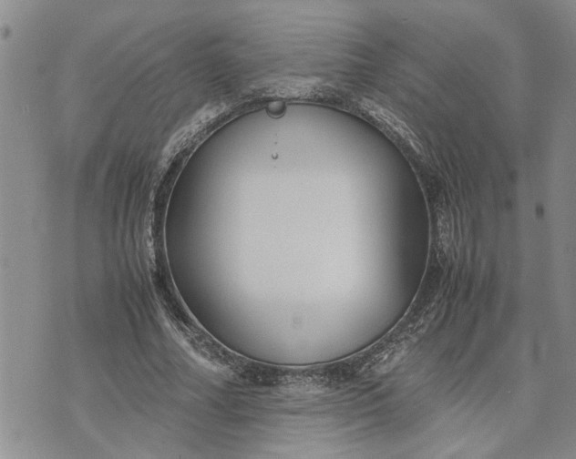 X0000071860682200607141816