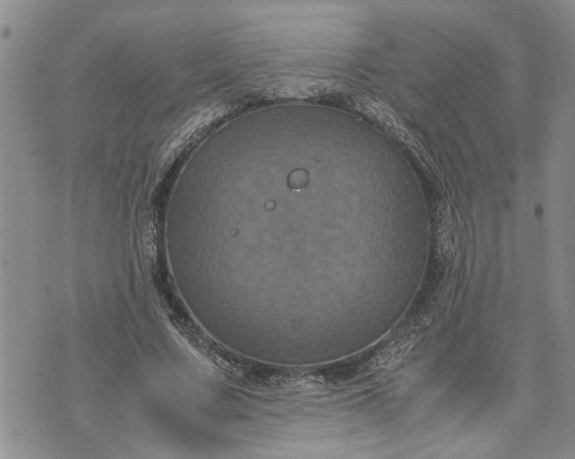 X0000071860683200607141816